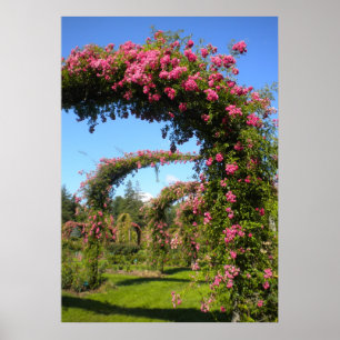 Póster Arcos de jardín Rosa de Elizabeth Park