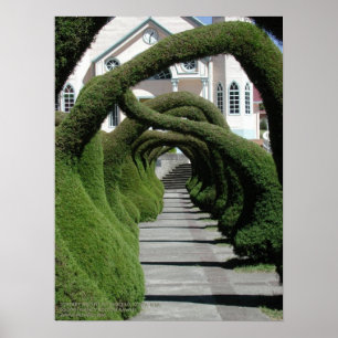Póster Arcos de Topiary en Zarcero, Costa Rica