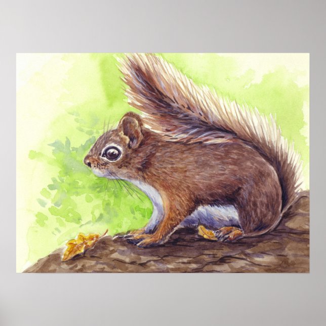 Póster Ardilla (Frente)