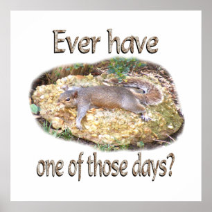 Póster Ardilla Cansada