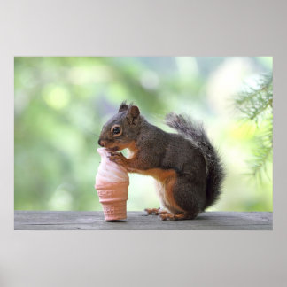 Póster Ardilla comiendo un cono de helado