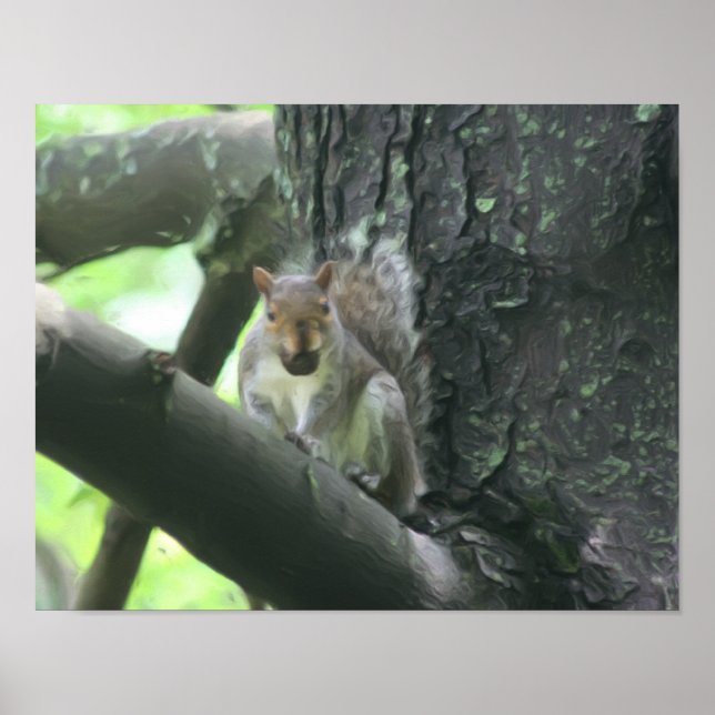 Póster Ardilla Con Naturaleza De Tuerca Pintura De Foto (Frente)