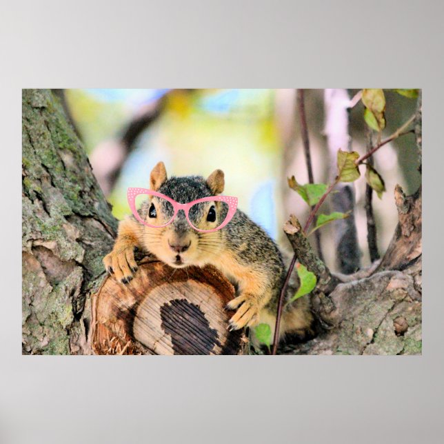 Póster ardilla de moda (Frente)