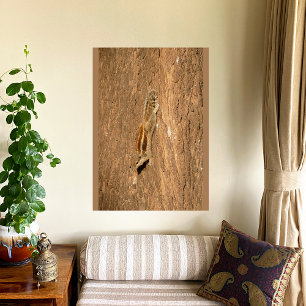 Póster Ardilla de palma india en un tronco de árbol