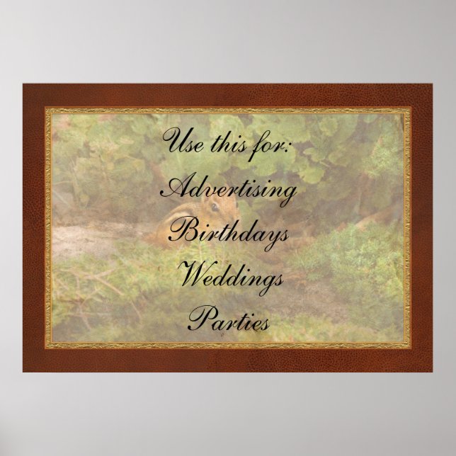 Póster Ardilla de tierra - Qué ternura (Frente)