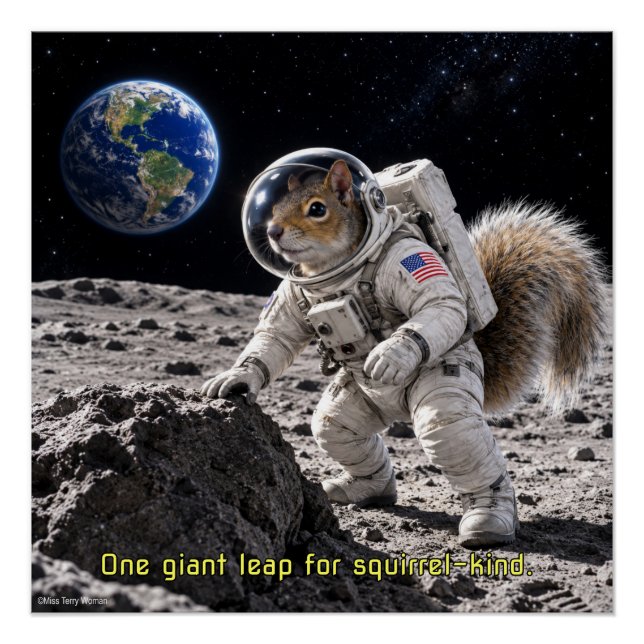 Póster Ardilla en el espacio (Anverso)