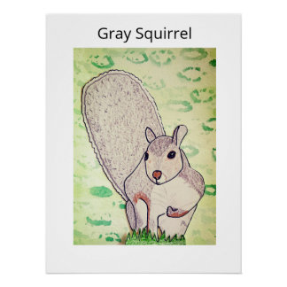 Póster Ardilla gris