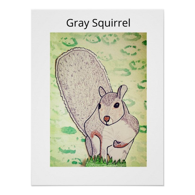 Póster Ardilla gris (Anverso)