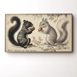 Póster Ardilla negra y ardilla gris de estilo vintage 