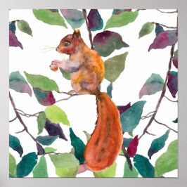Póster Ardilla Roja Pintada Bellotas Ramas De Árbol Rústi