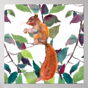 Póster Ardilla Roja Pintada Bellotas Ramas De Árbol Rústi
