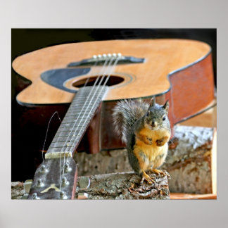 Póster Ardilla y guitarra