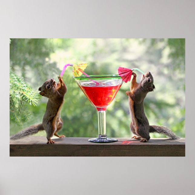 Póster ardillas de la Hora Feliz (Frente)