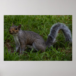 Póster Are You Ready