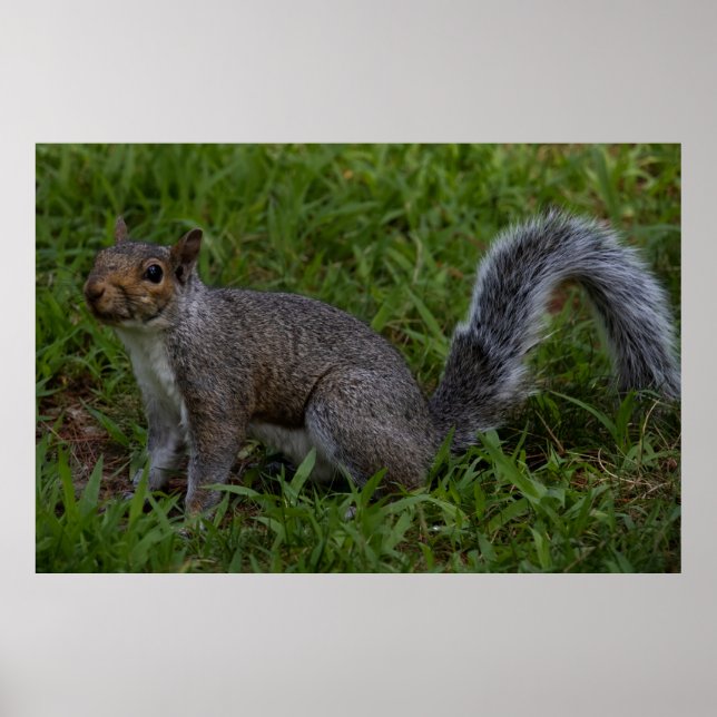 Póster Are You Ready (Frente)