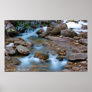 Póster Área de la cala del té del río de Williams
