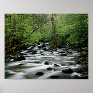 Póster Área del área de Greenbrier, Great Smoky Mountains