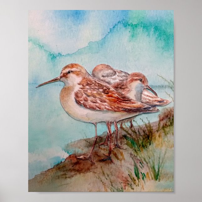 Póster Arena acuática Sandpiper Shore Beach Bird Art (Frente)