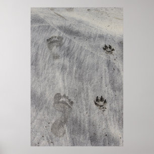 Póster Arena escribe amor