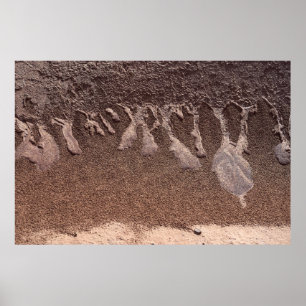 Póster Arena marrón