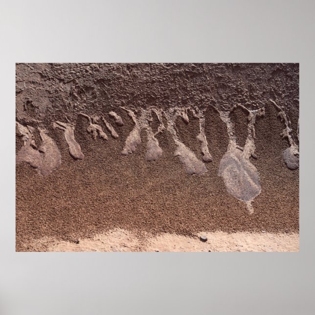 Póster Arena marrón (Frente)