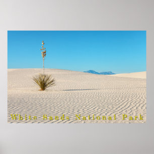 Póster Arenas Blancas del Desierto Paisaje y Yuca