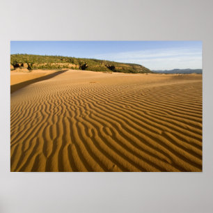 Póster Arenas y dunas en la arena rosa de Coral 2