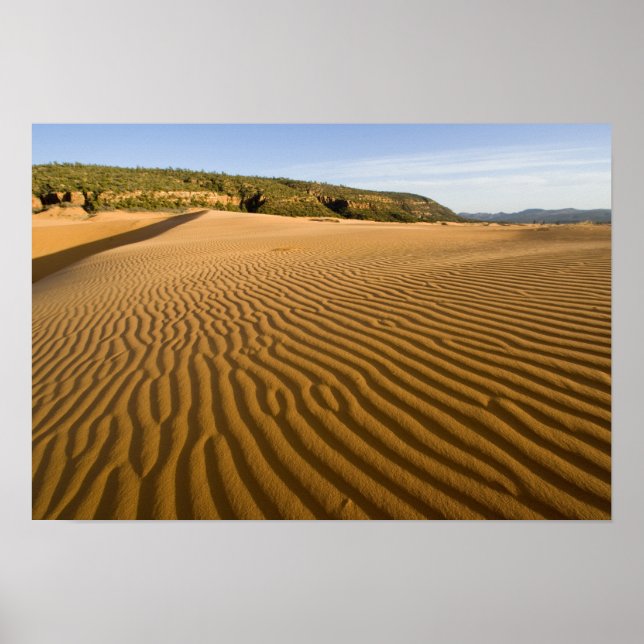 Póster Arenas y dunas en la arena rosa de Coral 2 (Frente)