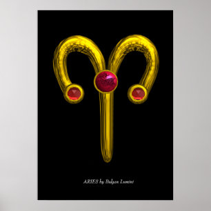 PÓSTER ARIES
