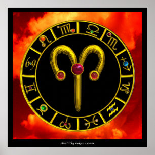 PÓSTER ARIES