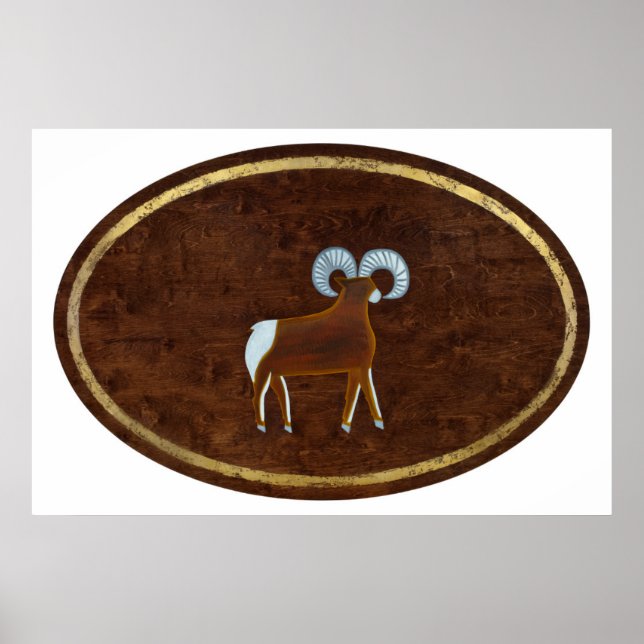 Póster Aries 2008 (Frente)