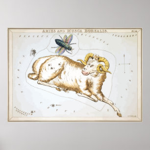 Póster Aries - Constelación - Horóscopo - Zodiaco - Estre