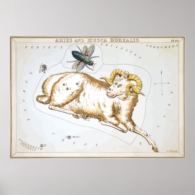 Póster Aries - Constelación - Horóscopo - Zodiaco - Estre (Frente)