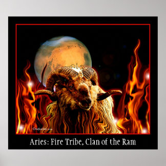 Póster Aries poster