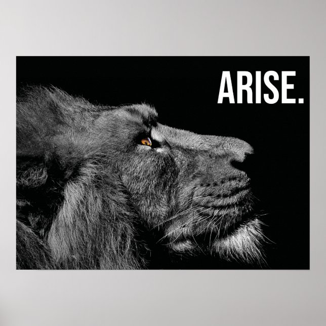 Póster Arise - León - Hustle, Gimnasio, Motivación de Éxi (Frente)