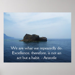 Póster Aristotle Excellence Quotation