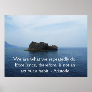 Póster Aristotle Excellence Quotation