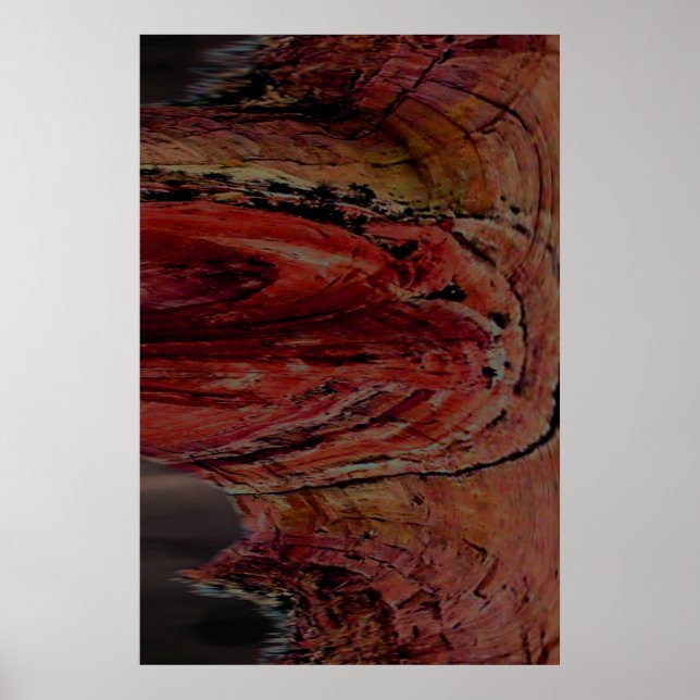 Póster Arizona (Frente)