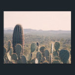 Póster Arizona Cacti | POSTER<br><div class="desc">Fotografía original de un joven cactus de saguaro asomando sobre un espinoso cactus de pera, tomada en el desierto de Arizona. Si cambia el tamaño del poster, asegúrese de hacer clic en "¡Personalizar!" para cambiar el tamaño de la imagen, si es necesario, para asegurarse de que la foto cubre todo...</div>