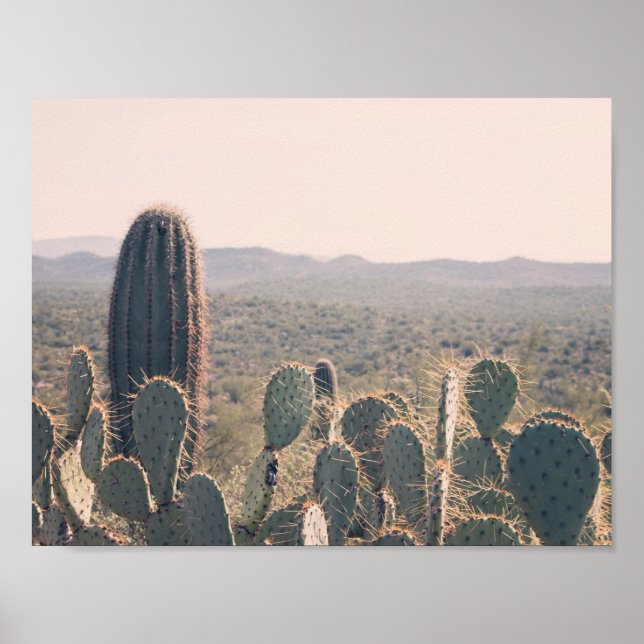 Póster Arizona Cacti | POSTER (Frente)