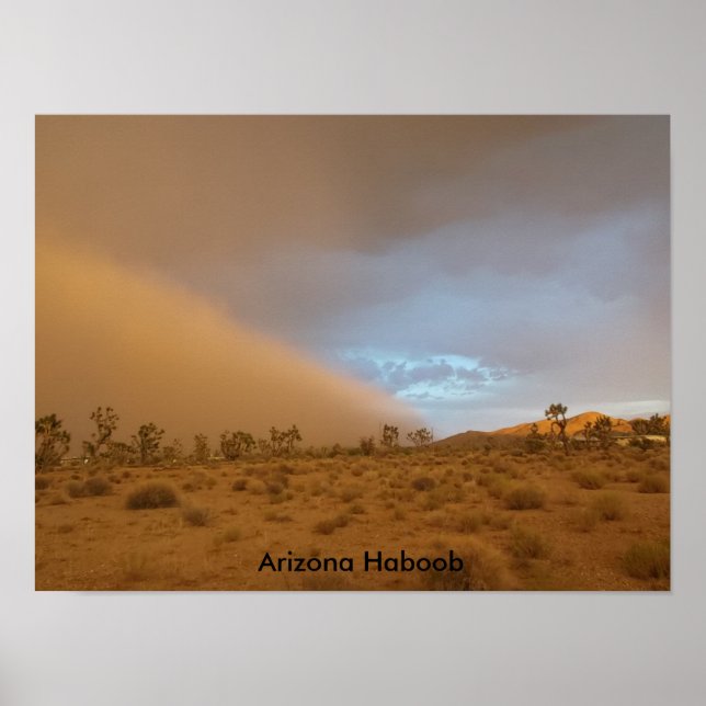 Póster Arizona Haboob (Frente)
