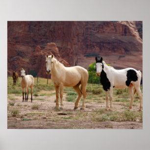 Póster Arizona, Navajo Indian Reservation, Chinle,