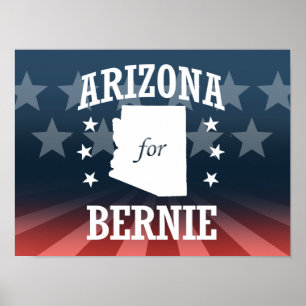 PÓSTER ARIZONA PARA LAS CHORREADORAS DE BERNIE