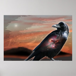 Póster Arizona Raven