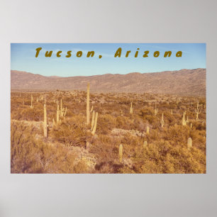 Póster Arizona Saguaros