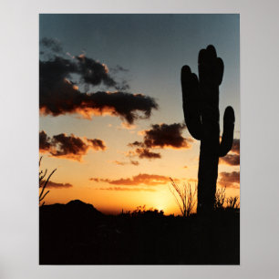 Póster Arizona Sunset