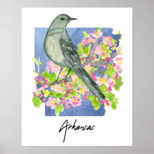 Póster Arkansas Estado Natural Sinsonte Flores de Manzano