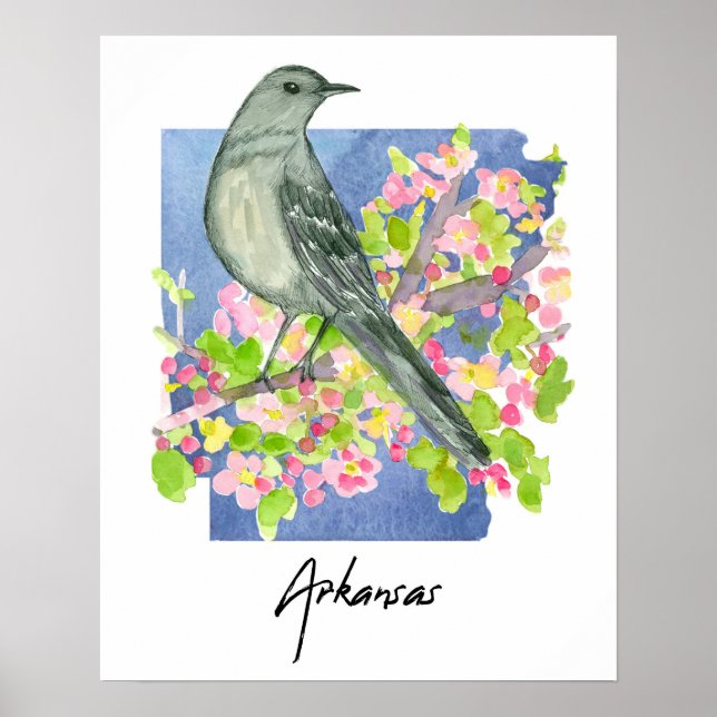 Póster Arkansas Natural State Mockingbird Apple Blossoms (Frente)