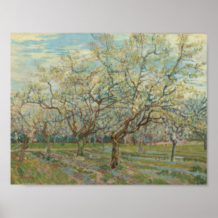 Póster Arles de los Orquídea Blanca, Abril de 1888 Vincen