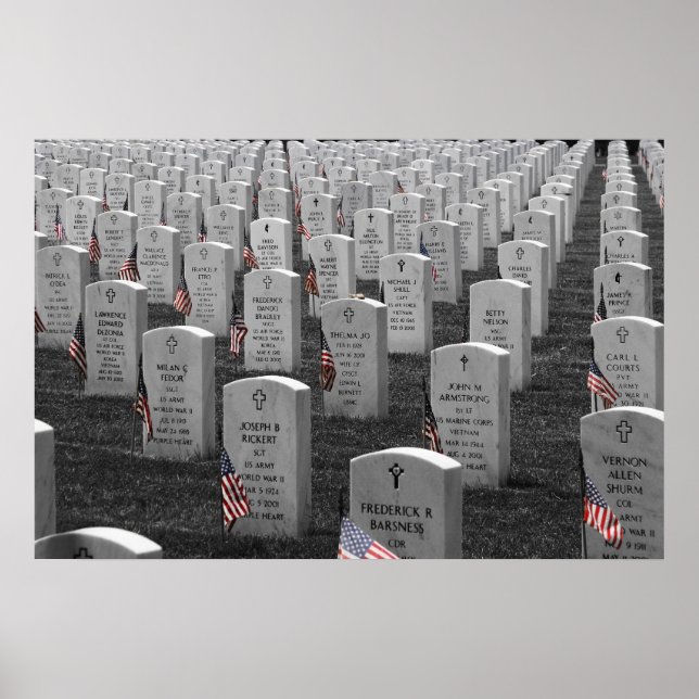 Póster Arlington B&W Flags Color (Frente)